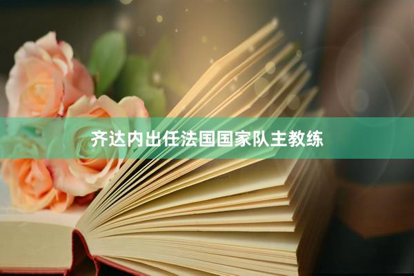 齐达内出任法国国家队主教练