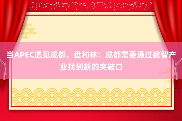 当APEC遇见成都，盘和林：成都需要通过数智产业找到新的突破口
