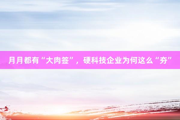 月月都有“大肉签”，硬科技企业为何这么“夯”