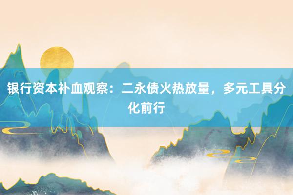 银行资本补血观察：二永债火热放量，多元工具分化前行