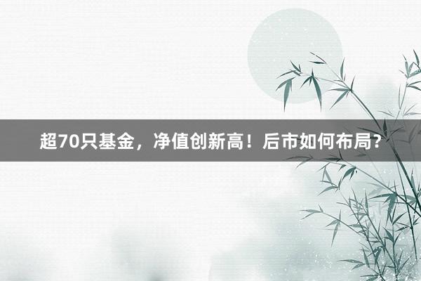 超70只基金，净值创新高！后市如何布局？
