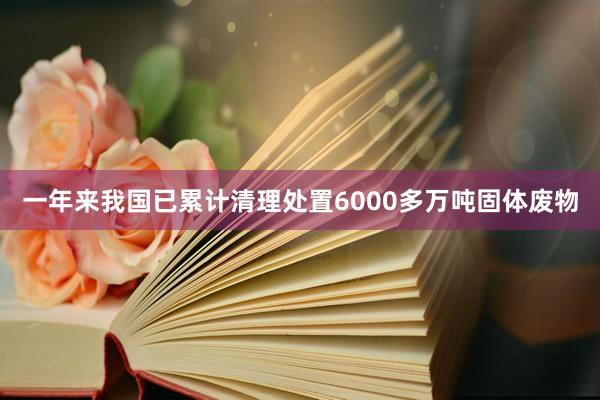 一年来我国已累计清理处置6000多万吨固体废物
