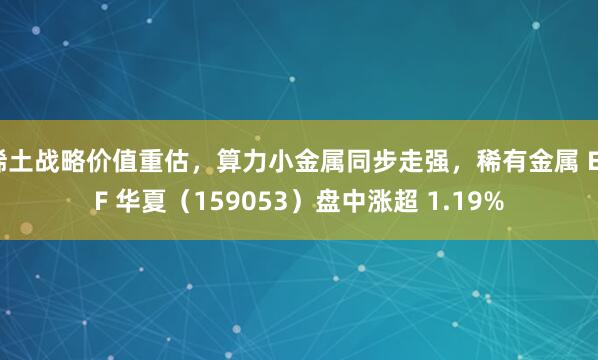 稀土战略价值重估，算力小金属同步走强，稀有金属 ETF 华夏（159053）盘中涨超 1.19%