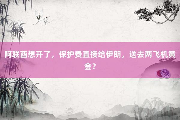 阿联酋想开了，保护费直接给伊朗，送去两飞机黄金？