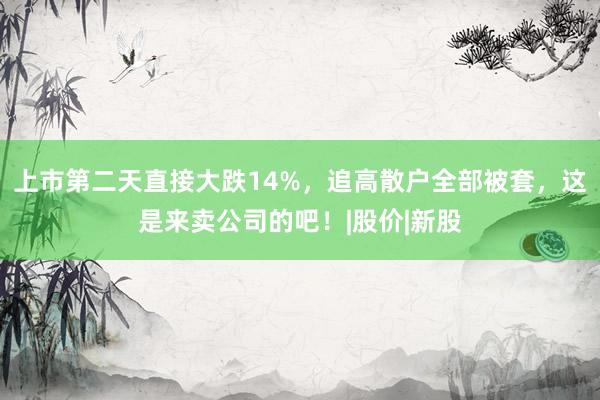 上市第二天直接大跌14%，追高散户全部被套，这是来卖公司的吧！|股价|新股