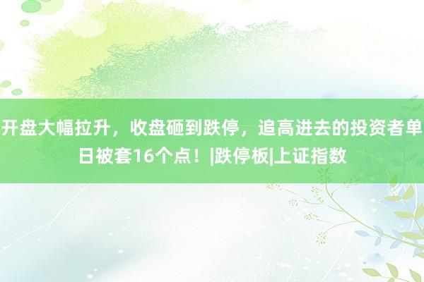 开盘大幅拉升，收盘砸到跌停，追高进去的投资者单日被套16个点！|跌停板|上证指数