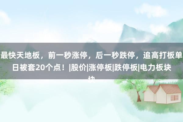 最快天地板，前一秒涨停，后一秒跌停，追高打板单日被套20个点！|股价|涨停板|跌停板|电力板块