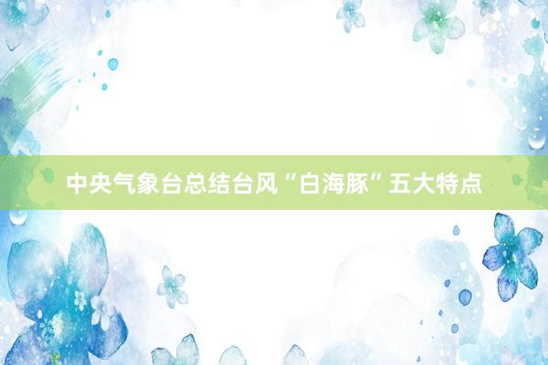 中央气象台总结台风“白海豚”五大特点