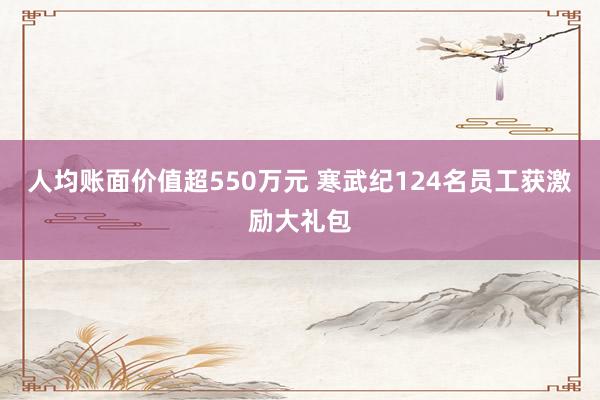人均账面价值超550万元 寒武纪124名员工获激励大礼包