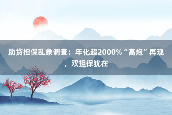 助贷担保乱象调查：年化超2000%“高炮”再现，双担保犹在