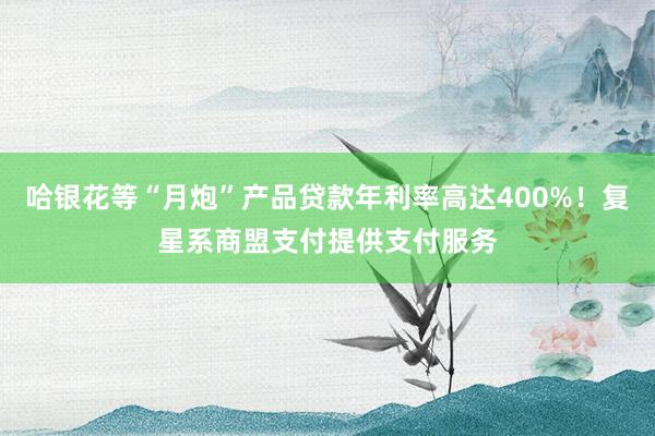 哈银花等“月炮”产品贷款年利率高达400%！复星系商盟支付提供支付服务