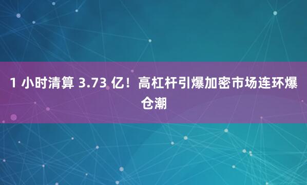 1 小时清算 3.73 亿!高杠杆引爆加密市场连环爆仓潮