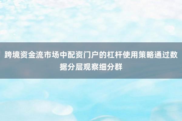 跨境资金流市场中配资门户的杠杆使用策略通过数据分层观察细分群