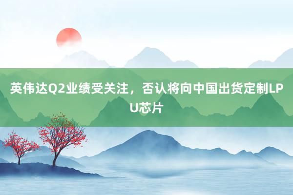英伟达Q2业绩受关注，否认将向中国出货定制LPU芯片