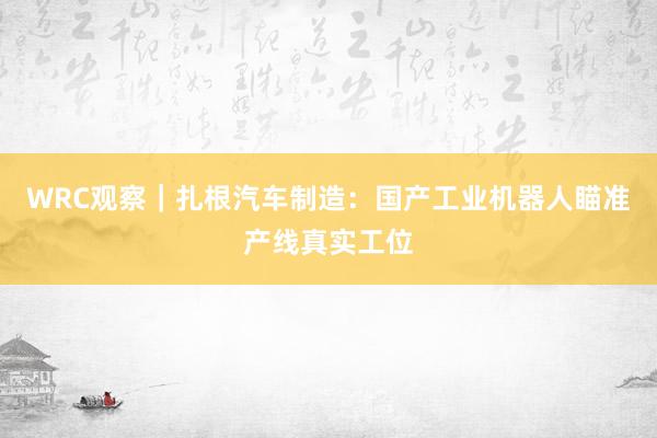 WRC观察｜扎根汽车制造：国产工业机器人瞄准产线真实工位