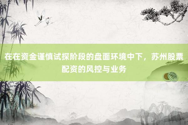 在在资金谨慎试探阶段的盘面环境中下，苏州股票配资的风控与业务