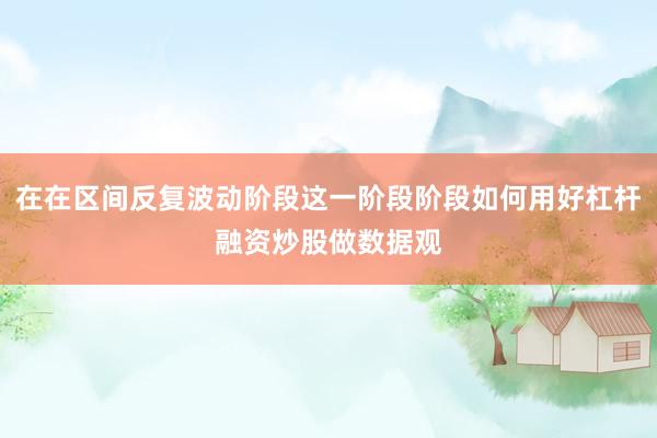 在在区间反复波动阶段这一阶段阶段如何用好杠杆融资炒股做数据观