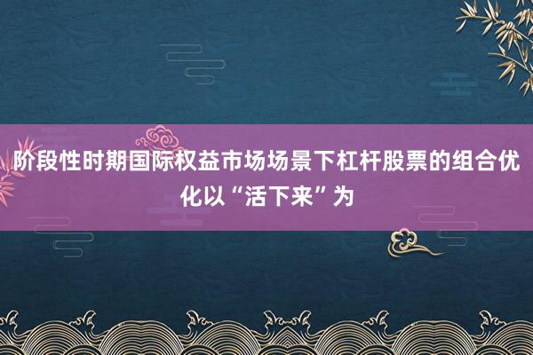 阶段性时期国际权益市场场景下杠杆股票的组合优化以“活下来”为