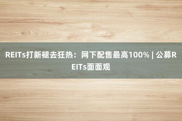 REITs打新褪去狂热：网下配售最高100% | 公募REITs面面观