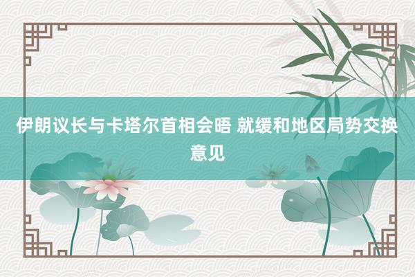 伊朗议长与卡塔尔首相会晤 就缓和地区局势交换意见