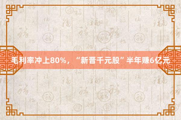 毛利率冲上80%，“新晋千元股”半年赚6亿元