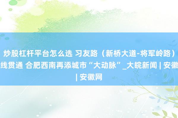 炒股杠杆平台怎么选 习友路（新桥大道-将军岭路）全线贯通 合肥西南再添城市“大动脉”_大皖新闻 | 安徽网
