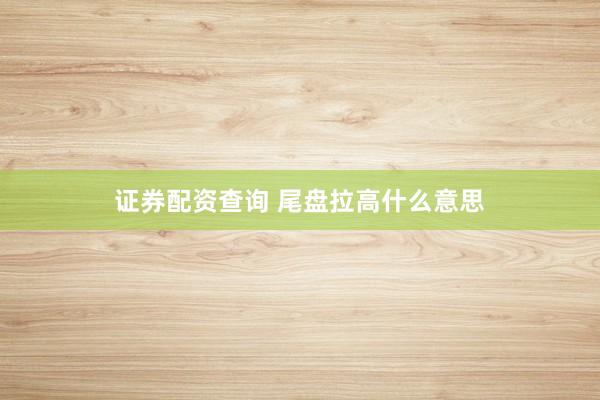 证券配资查询 尾盘拉高什么意思