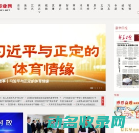 新华报业网